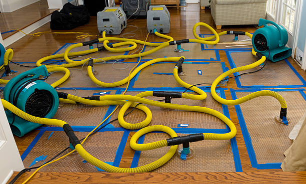 Professional Basement Flood Cleanup technician working in Earp, CA